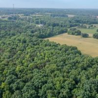65.53 acres of Farm and Timber Land For Sale in Stanly County NC images 5