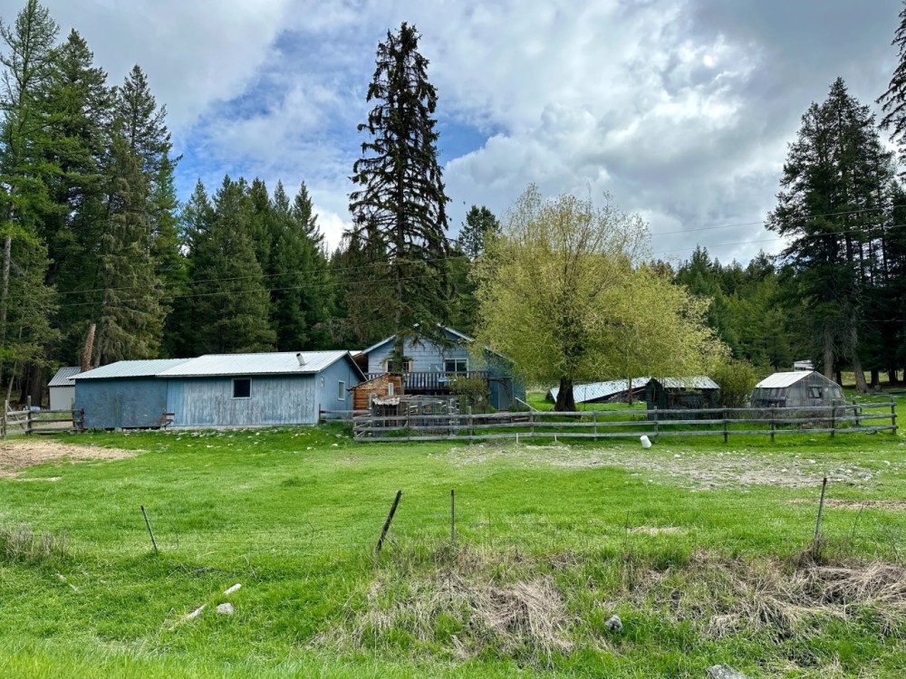 HUNTING CABIN - Backs to National Forest - 10 acres with Home Horse Pasture New Septic featured image