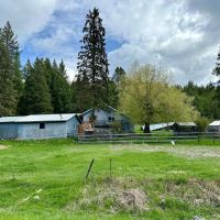 HUNTING CABIN - Backs to National Forest - 10 acres with Home Horse Pasture New Septic images 1