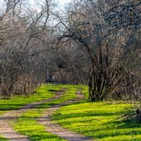 Guadalupe Acres 70 images 3