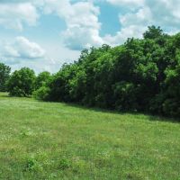 0 N FM 51 Decatur Texas 76234 images 3