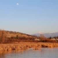 325 acres Buttermilk Country WMA - Deer & Quail hunting in Inyo, CA