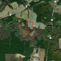 55 acres of Farm and Timber Land for Sale in Isle of Wight County VA