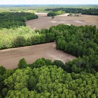 55 acres of Farm and Timber Land for Sale in Isle of Wight County VA images 2