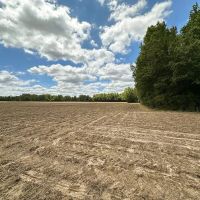 55 acres of Farm and Timber Land for Sale in Isle of Wight County VA images 3