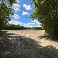 55 acres of Farm and Timber Land for Sale in Isle of Wight County VA images 5