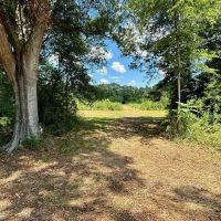 Hunting Property for Sale in Tangipahoa Parish