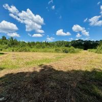 Hunting Property for Sale in Tangipahoa Parish images 2