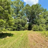 Hunting Property for Sale in Tangipahoa Parish images 3