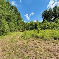 Hunting Property for Sale in Tangipahoa Parish images 5