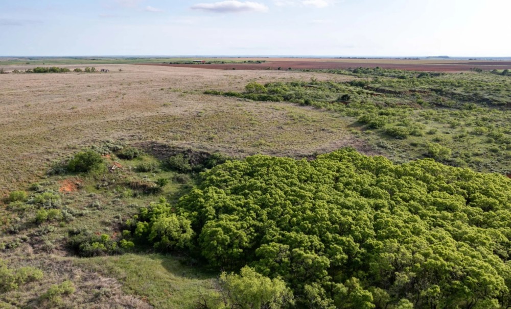 425 acre CRP and Recreational Property featured image