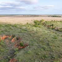 425 acre CRP and Recreational Property images 4
