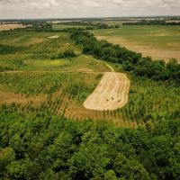 354 Acres in Coahoma County MS - Sessions Place images 4