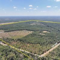 742 Acres FM 2517 images 3