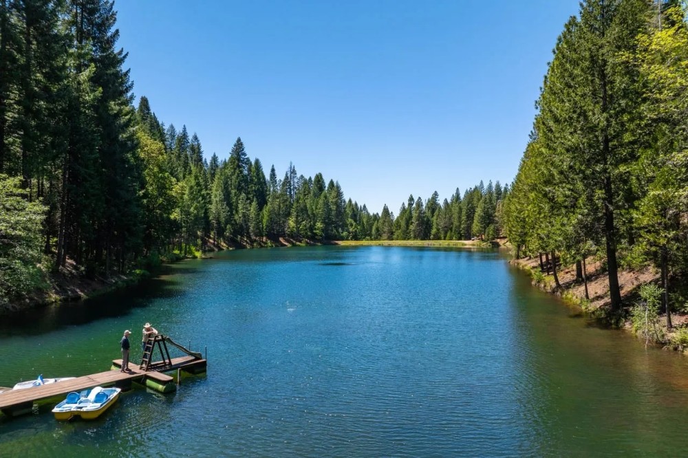Grizzly Lodge featured image