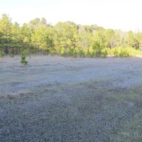 LA - Jackson 48 acres - images 2