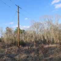 LA - Jackson 48 acres - images 5