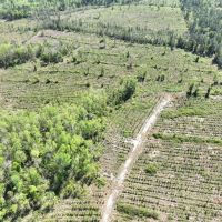 103.5 - Ac Tract 1 Riverside Rd images 4