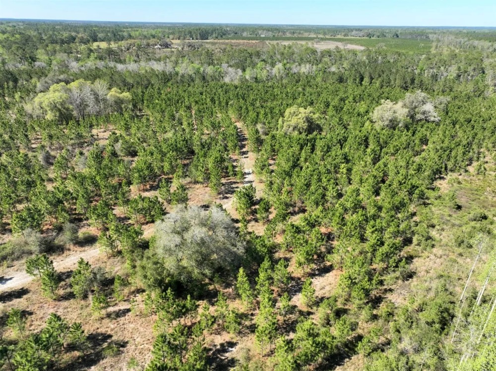52 - Ac Tracts 6 Riverside Rd. featured image