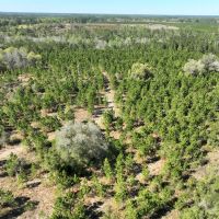 52 - Ac Tracts 6 Riverside Rd.