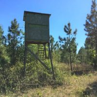 52 - Ac Tracts 6 Riverside Rd. images 3