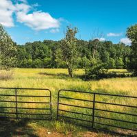 Kenner Springs Branch Ranch images 2