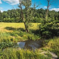 Kenner Springs Branch Ranch images 3