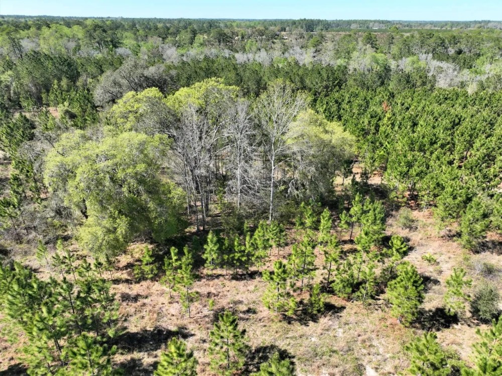 30 - Ac Tracts 7 Riverside Rd. featured image