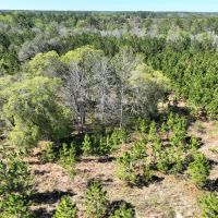 30 - Ac Tracts 7 Riverside Rd.