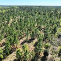 30 - Ac Tracts 7 Riverside Rd. images 2