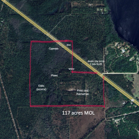 117 Acre Pristine Hunting land Near Gainesville Florida