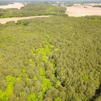 1.95 acre Building Lot For Sale in Accomack County VA images 3