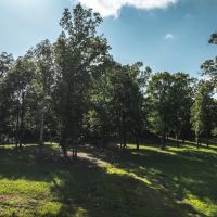 Poplar Bluff 15 images 3