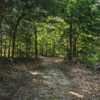 Poplar Bluff 15 images 4