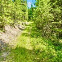 Paradise Hunting Acres images 5
