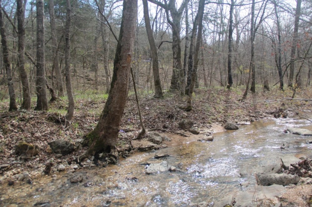 74 Acres of Waterfront Land in Eureka Springs AR featured image