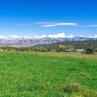 Molina Farm images 2