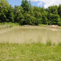 120 Acres Residence For Sale Jefferson Jennings County images 3