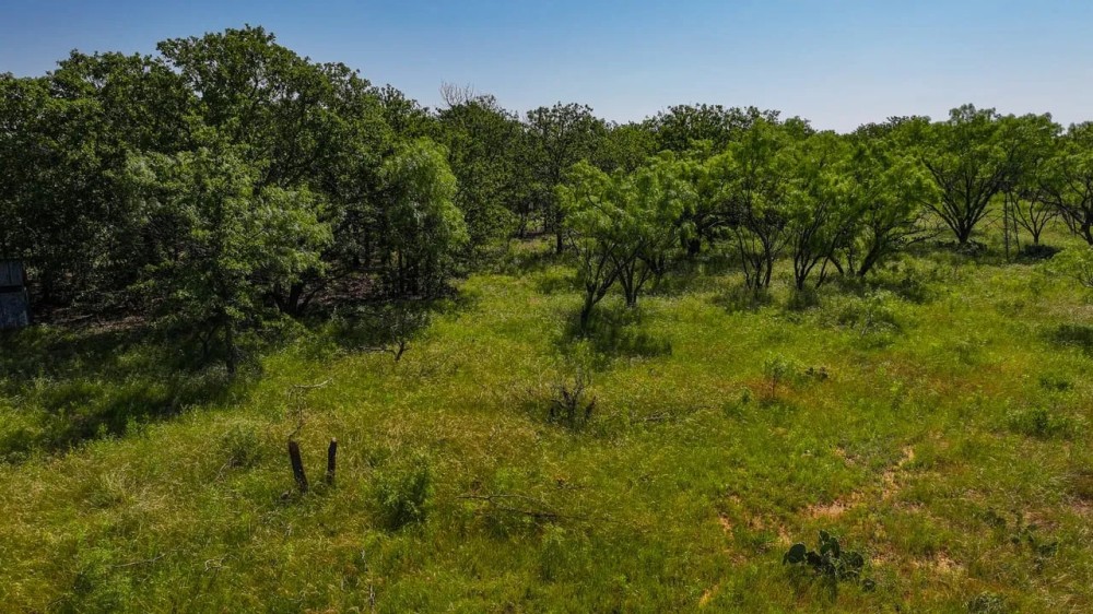 Oak Hollow Ranch featured image