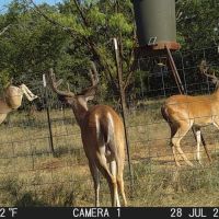 Oak Hollow Ranch images 3