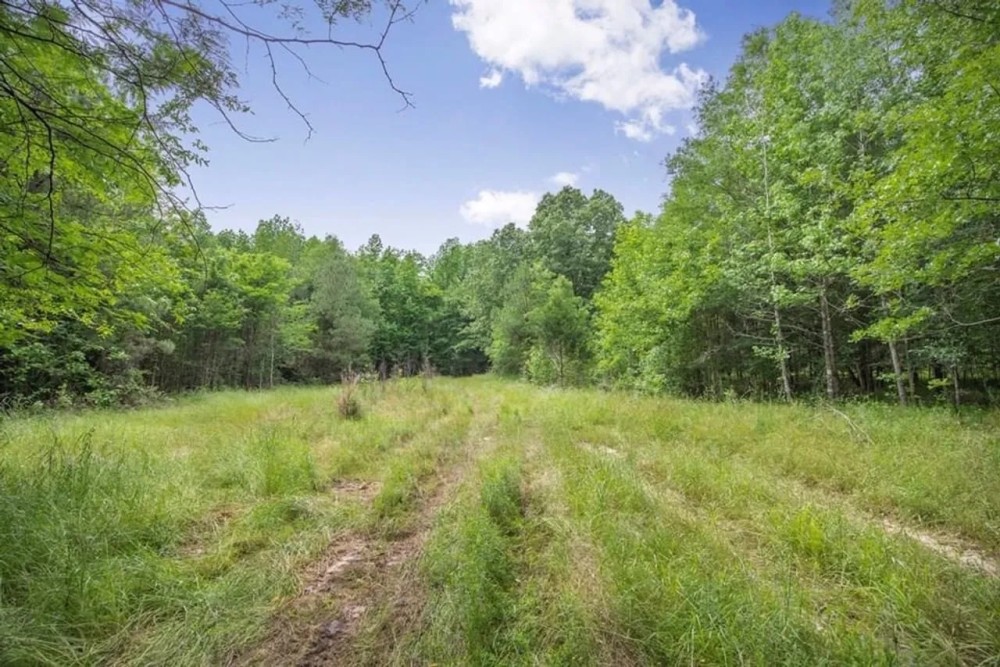 Turn Key Small Hunting Tract in Hinds County featured image