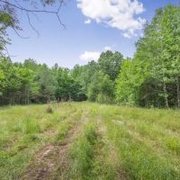 Turn Key Small Hunting Tract in Hinds County images 1