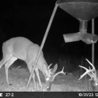 Turn Key Small Hunting Tract in Hinds County images 2