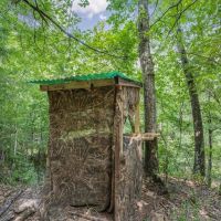 Turn Key Small Hunting Tract in Hinds County images 3