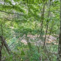 Turn Key Small Hunting Tract in Hinds County images 4