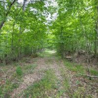Turn Key Small Hunting Tract in Hinds County images 5