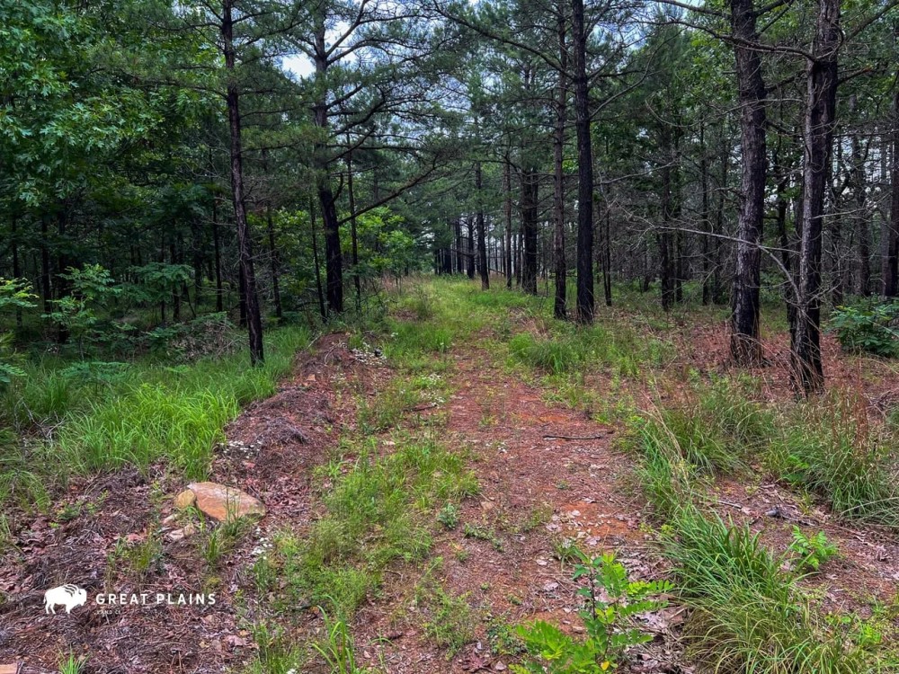 Eightmile Mountain 140 featured image