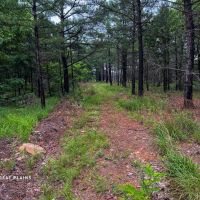 Eightmile Mountain 140