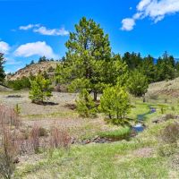 Rusty Nuts Ranch 240 - images 3