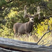 Rusty Nuts Ranch 240 - images 4